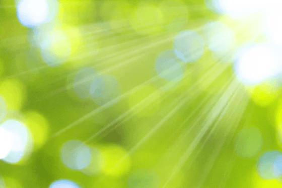 現場でWBGTを測定している様子